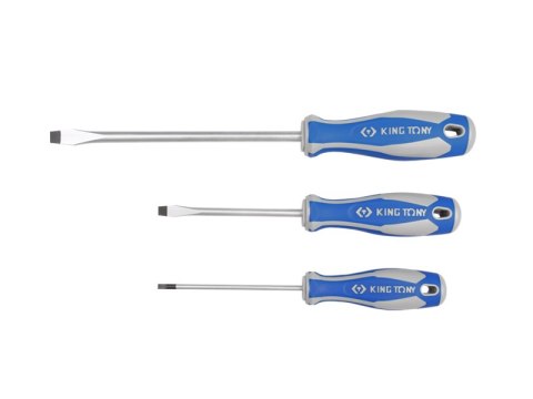 WKRĘTAK PŁASKI 3,0*0,5MM 3,0*75MM